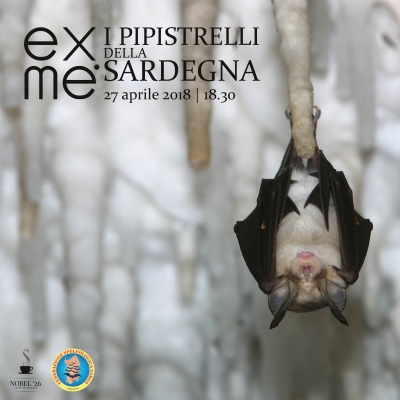 Eventi Natura. 3° tappa: I pipistrelli della Sardegna.